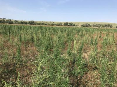 Прикрепленное изображение: в.jpg